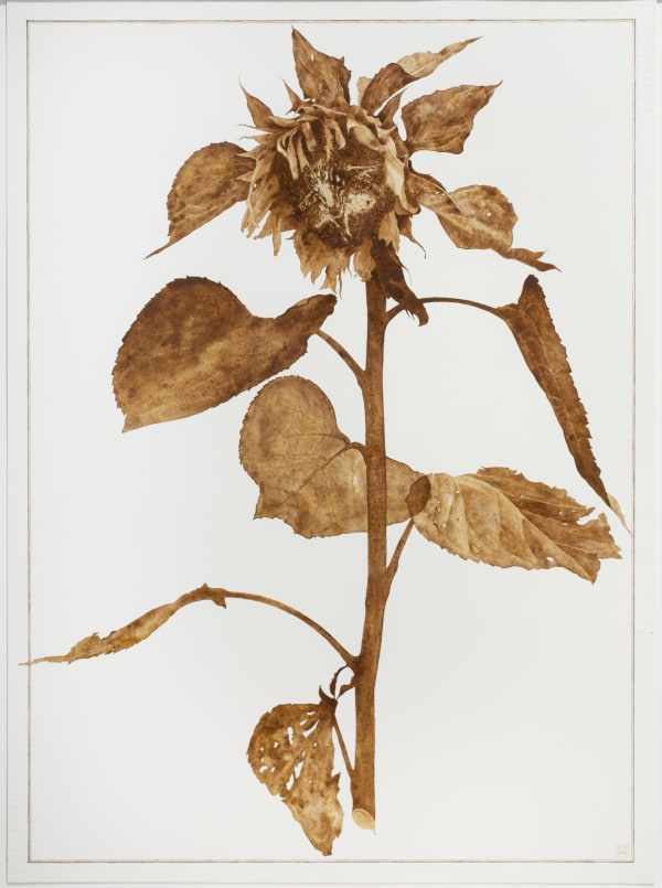 Roger Andersson, Slaves by Choice II, 2010