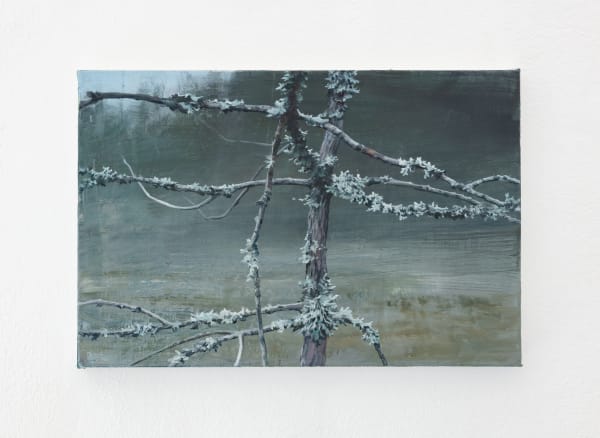 Tommy Hilding, Borealis #29, 2021