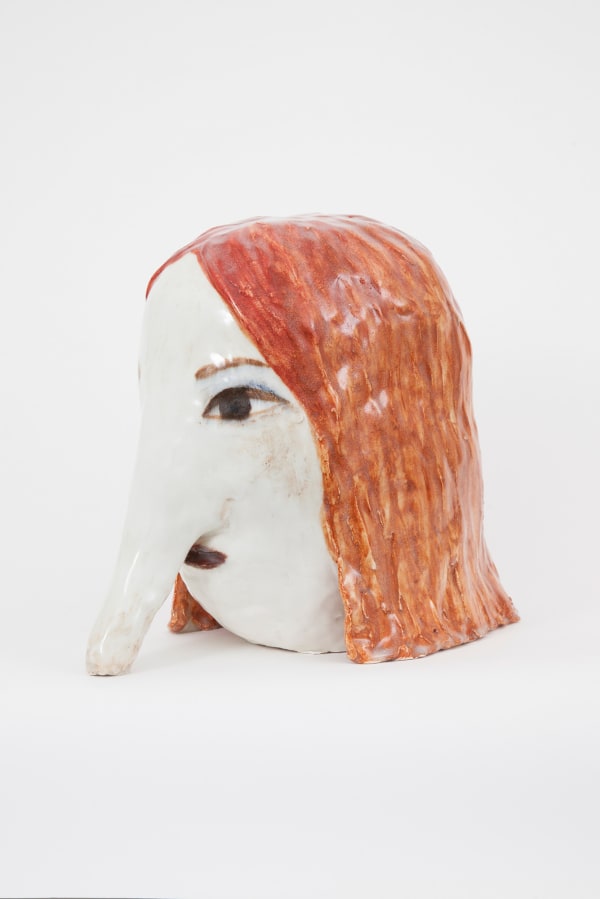 Klara Kristalova, Stora näsapan / The Big Nose Monkey, 2017