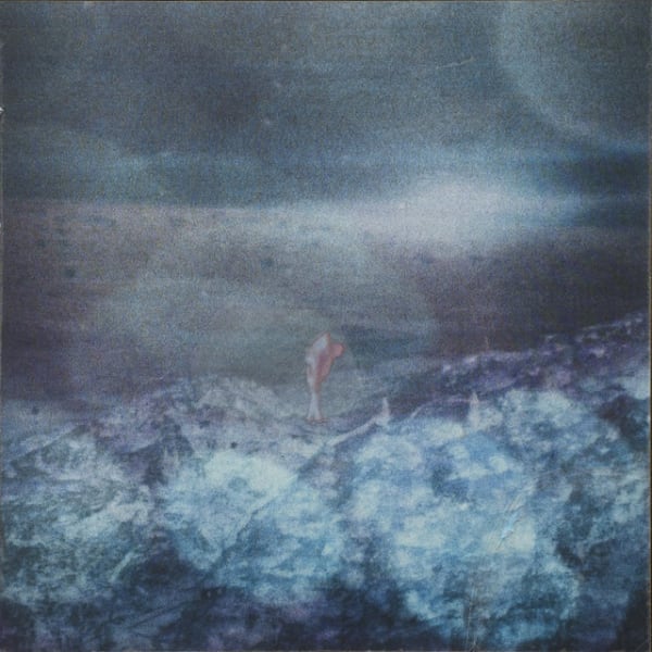 Petra Lindholm, X-ray, 2014