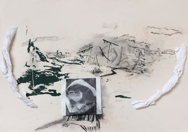 Helene Billgren, H.C., 2021