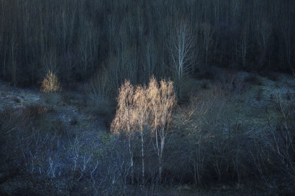 Ulf Lundin, Monumentet / The Monument (01), 2018