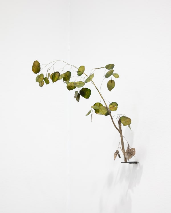 Johanna Karlsson, Kvist IV / Twig IV, 2025