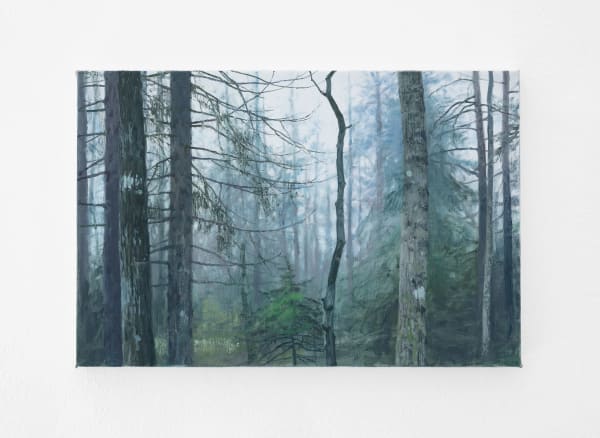 Tommy Hilding, Borealis #11, 2022