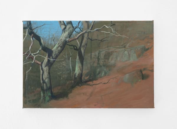 Tommy Hilding, Borealis #20, 2022