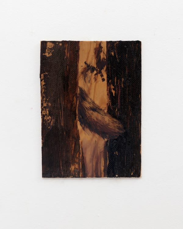 Sara-Vide Ericson, Desire of the Tail, 2023