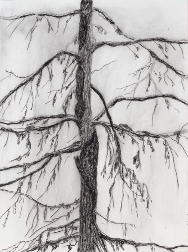 Jeff Olsson, Trädstudie I / Tree Study I, 2025