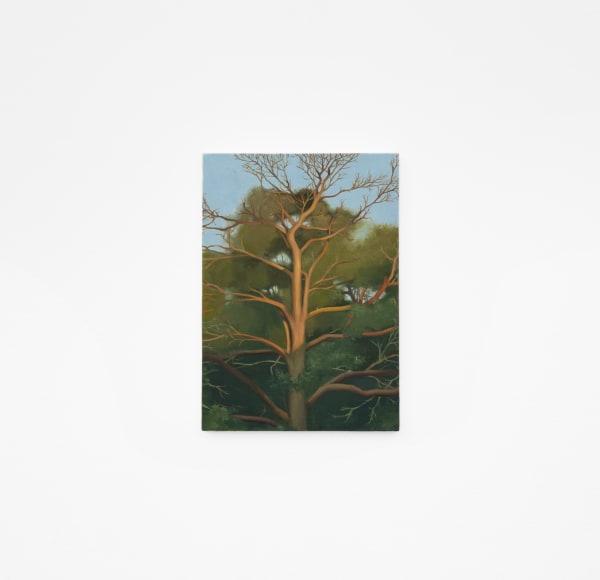 Carl Hammoud, 04:59, 2025