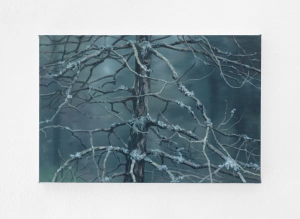 Tommy Hilding, Borealis #15, 2021