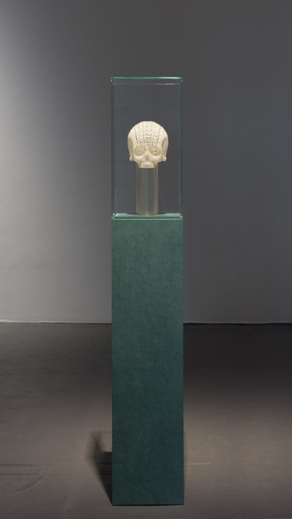 Thomas Broomé, Skull, 2023
