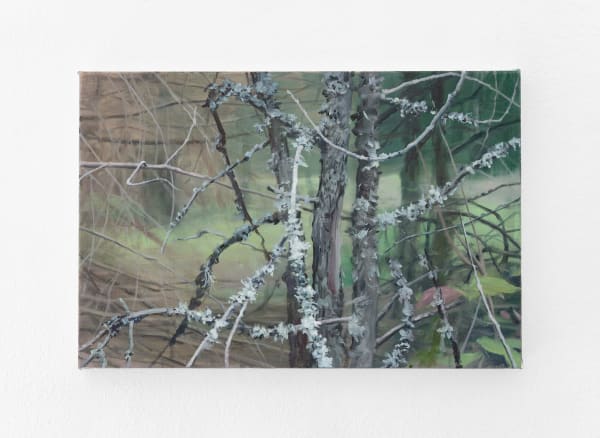Tommy Hilding, Borealis #13, 2021