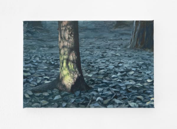 Tommy Hilding, Borealis #30, 2022