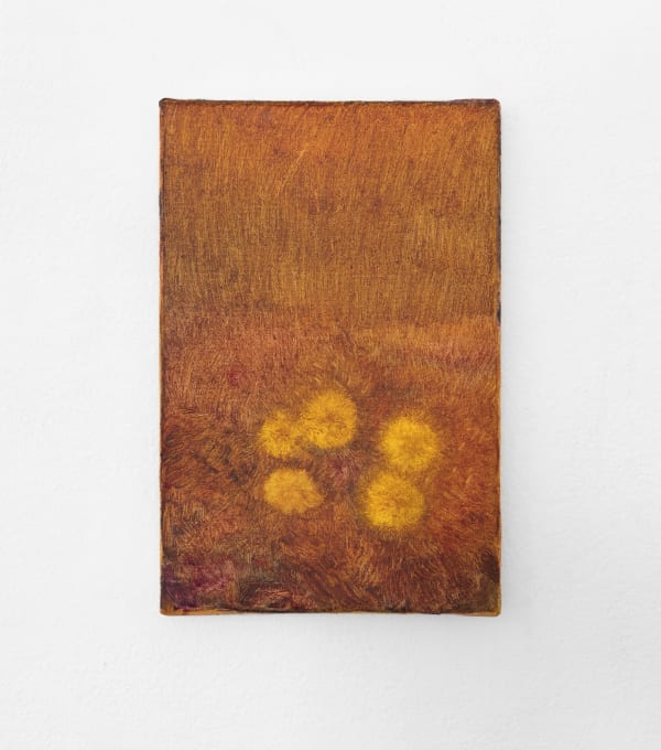Clara Gesang-Gottowt, Tussilago II / Coltsfoot II, 2021