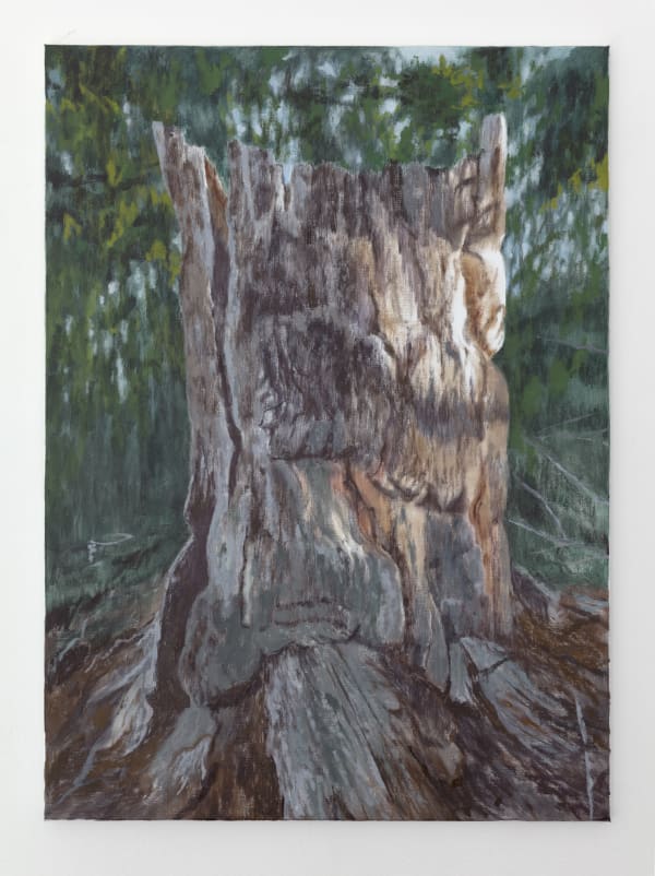 Susanne Johansson, Jättens milda steg / Giant’s Gentle Stride, 2021