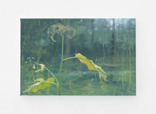 Tommy Hilding, Borealis #1, 2021