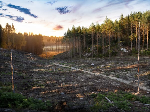 Ulf Lundin, Ludgo (July 29, 2021), 2023