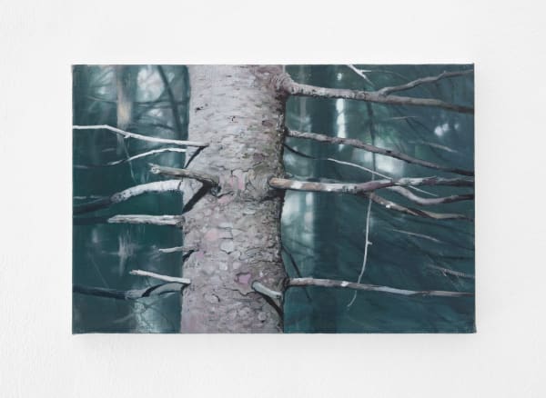 Tommy Hilding, Borealis #3, 2020