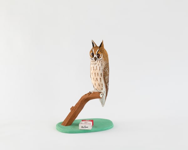 Richard Johansson, Hornuggla / Long-eared Owl, 2022
