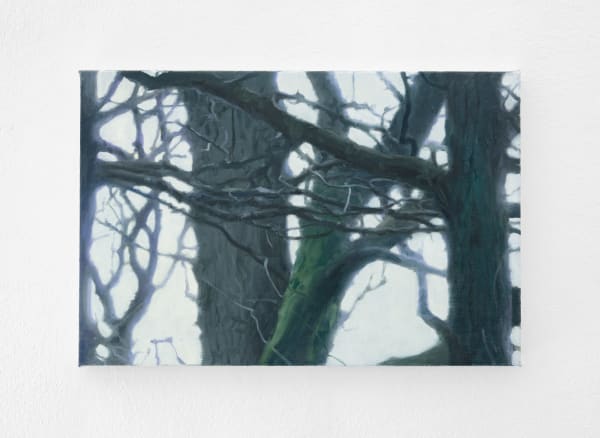 Tommy Hilding, Borealis #22, 2020