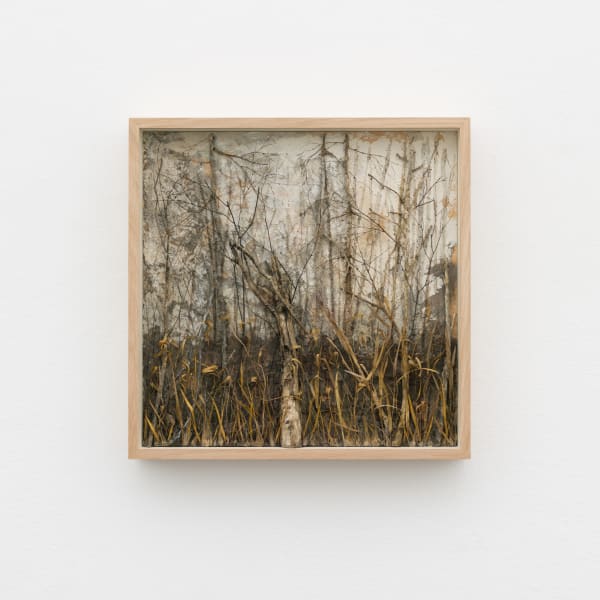 Johanna Karlsson, Passage XII, 2025