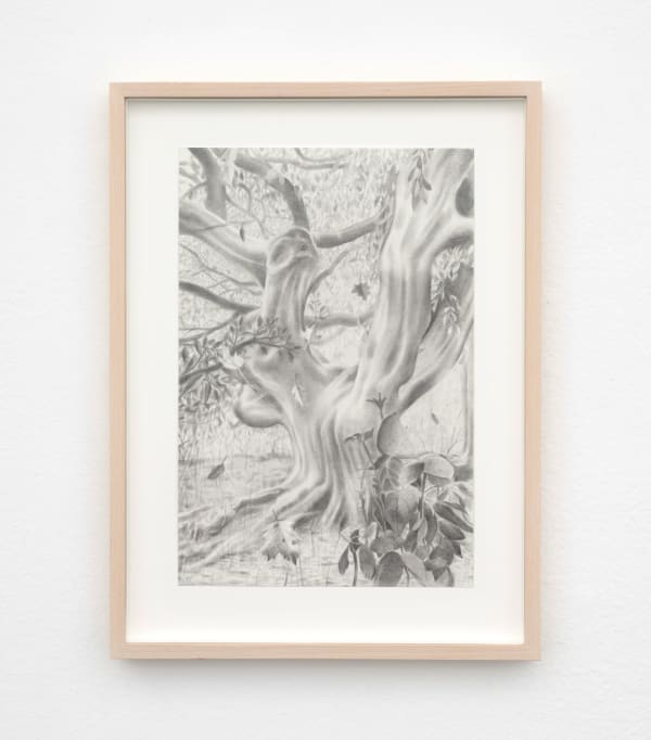 Carl Hammoud, Alpine Garden, 2025