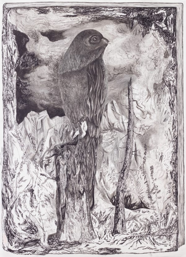 Jeff Olsson, Fågeln i boken / The Bird in the Book, 2024