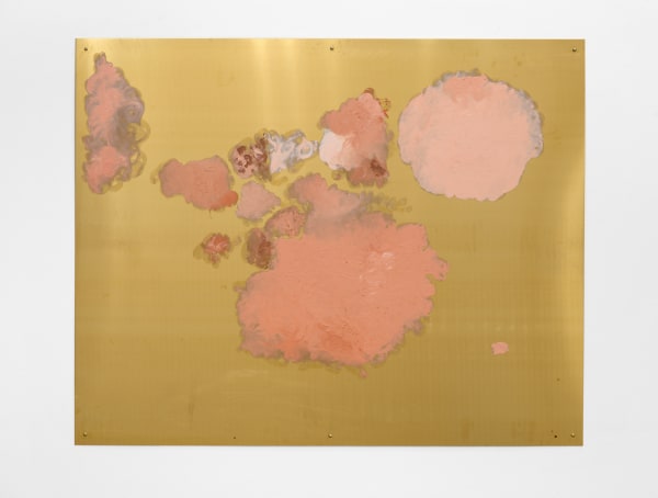 Karla Black, Scape, 2025