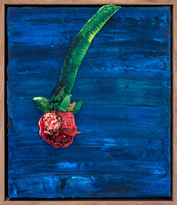 Nabeeha Mohamed, Rose , 2023