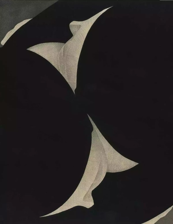 Moonassi, Composition of Us V, 2022