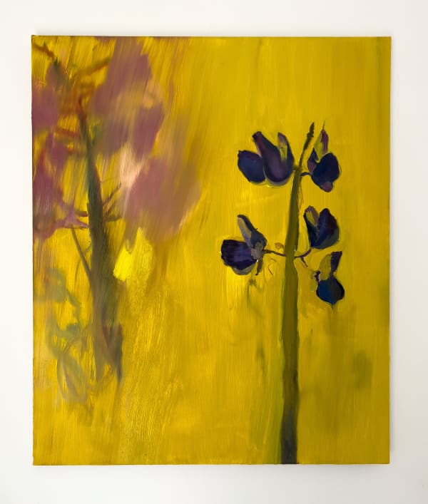 Jeane Cohen, Lupines in a Yellow Field, 2024