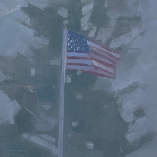 Sara MacCulloch, US Flag in the Fog, 2025