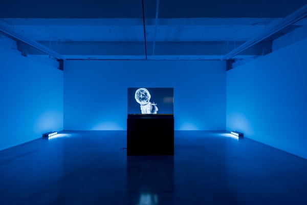 Sejin Kim Messenger(s), 2019