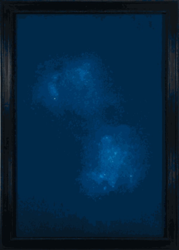 Cygnus