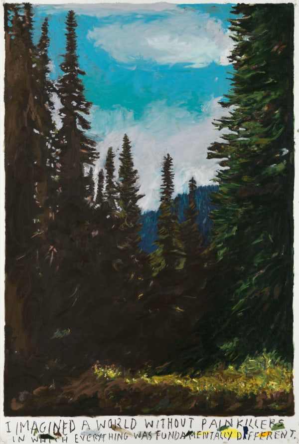 Rinus Van de Velde I imagined a world without painkillers ..., 2022