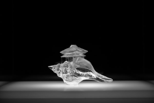 Gogoan, Niigata from the series "Why Not Hand Over a “Shelter” to Hermit Crabs? -Border-“