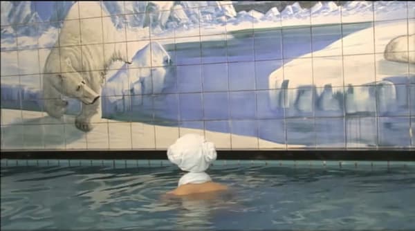 Polar Bear