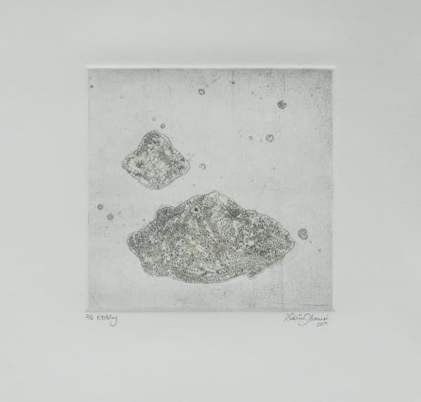 Zarrin-Fatima Shamsi, Dead Coral 1, 2019