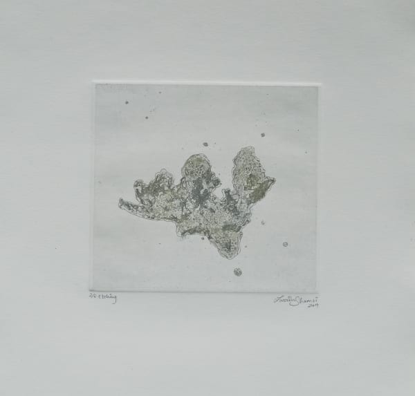 Zarrin-Fatima Shamsi, Dead Coral 6, 2019