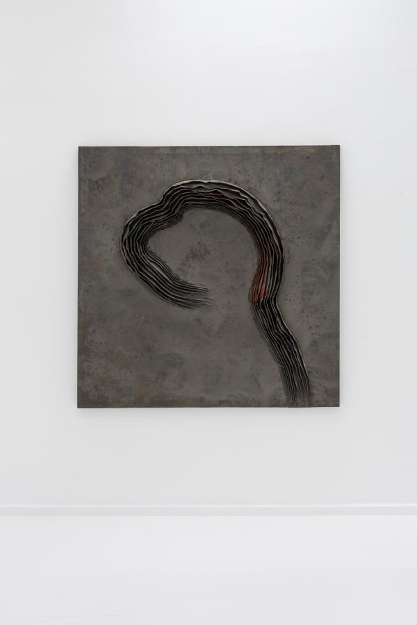 Guillem Nadal, 29-01-17, 2017