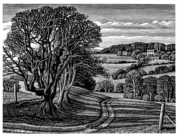Howard Phipps, Chilcombe, West Dorset