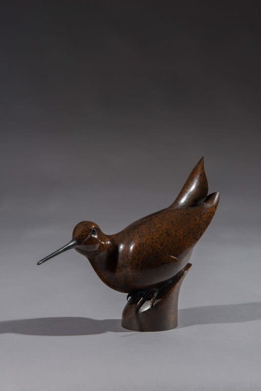 Simon Gudgeon, Woodcock