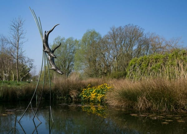 Simon Gudgeon, Diving Otters
