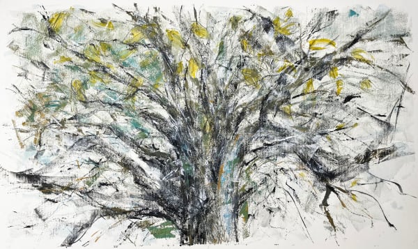 Rebecca Guyett, Windswept Tree