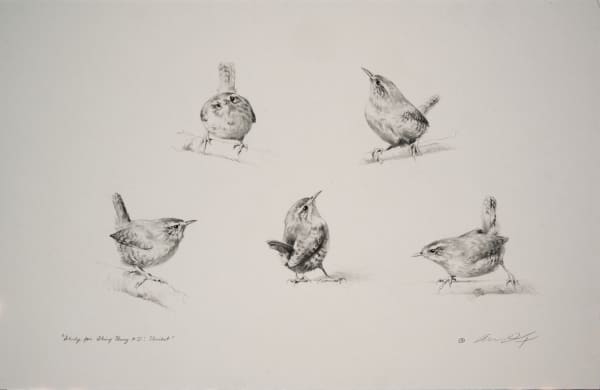 Andrew Denman, Study for 'String Theory #21: Thicket'