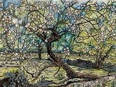 Myrtle Pizzey, Cider Apple Tree