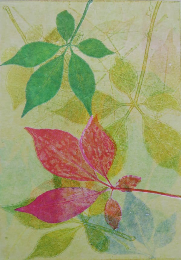 Robin Moorcroft, Falling