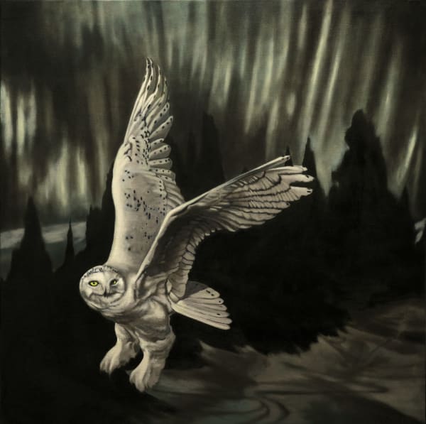 Finn Campbell-Notman, Spirit of the North