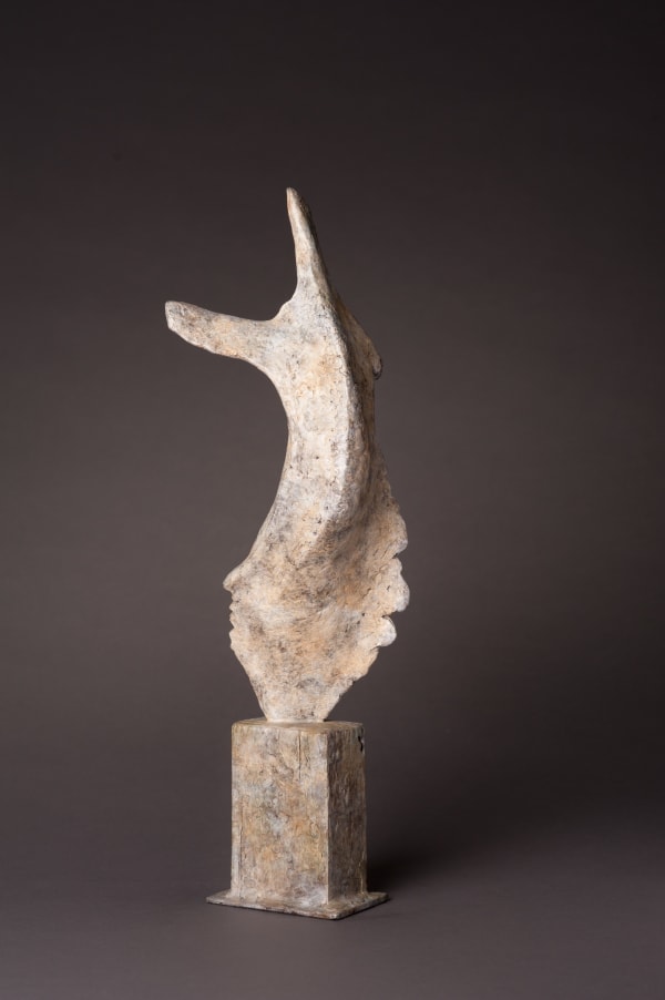 Abstract bronze sculpture of Bone form by sculptor Nicola Godden, displayed on plinth