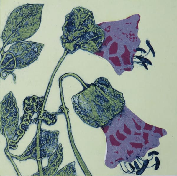 Robin Moorcroft, Sunday Best 1