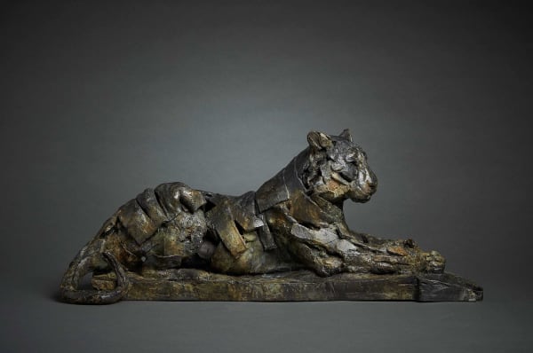 Fred Gordon, Resting Tiger, 2024